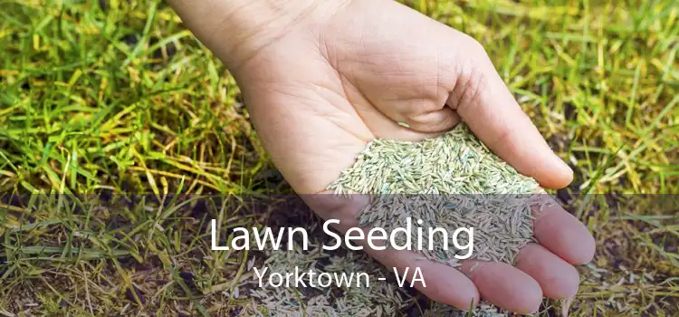 Lawn Seeding Yorktown - VA