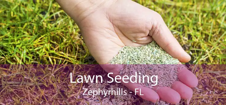 Lawn Seeding Zephyrhills - FL