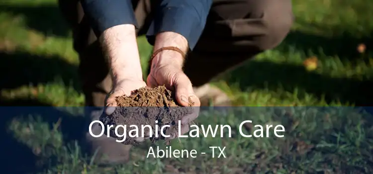 Organic Lawn Care Abilene - TX