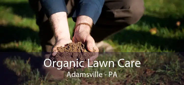 Organic Lawn Care Adamsville - PA