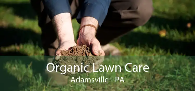 Organic Lawn Care Adamsville - PA