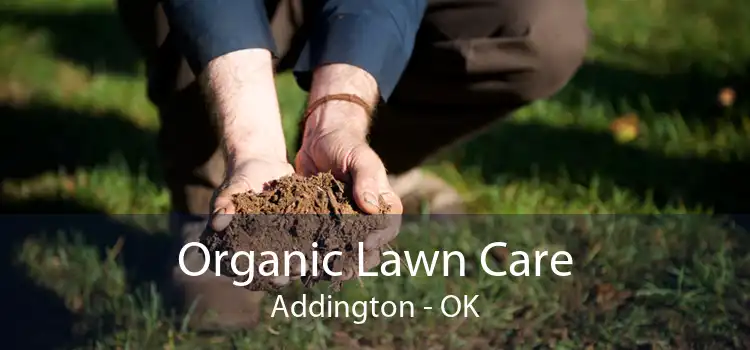 Organic Lawn Care Addington - OK