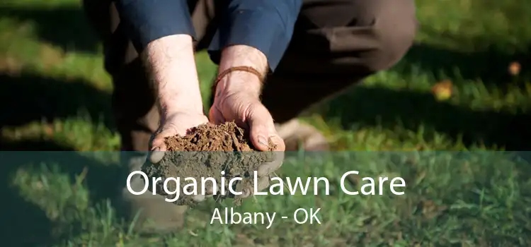Organic Lawn Care Albany - OK