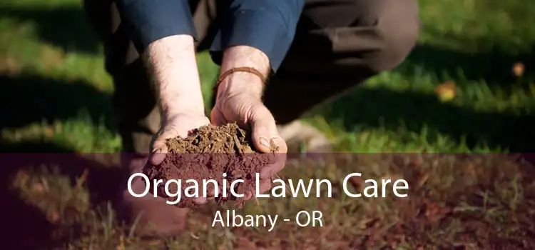 Organic Lawn Care Albany - OR