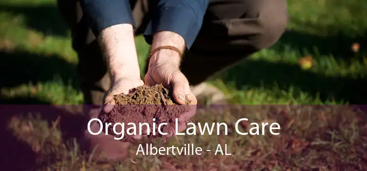 Organic Lawn Care Albertville - AL
