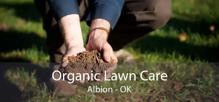  Organic Lawn Care Albion - OK