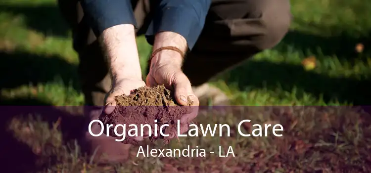 Organic Lawn Care Alexandria - LA