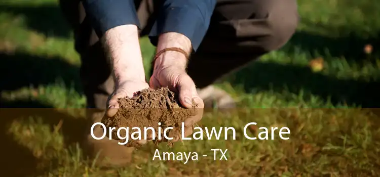 Organic Lawn Care Amaya - TX
