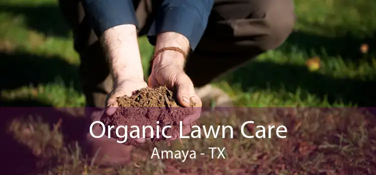 Organic Lawn Care Amaya - TX