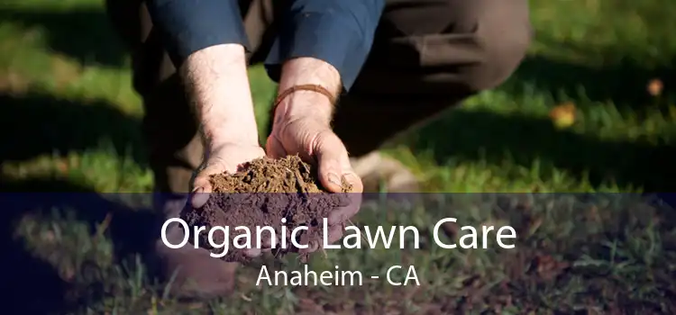 Organic Lawn Care Anaheim - CA