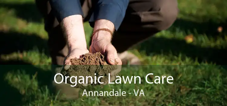 Organic Lawn Care Annandale - VA
