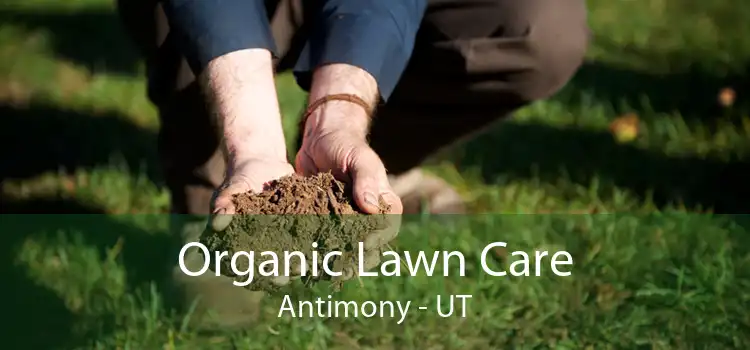 Organic Lawn Care Antimony - UT