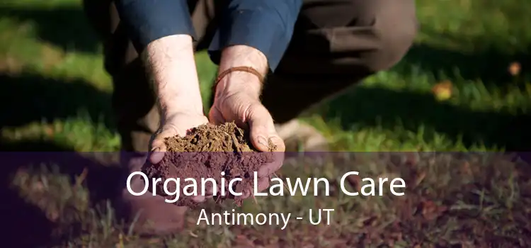 Organic Lawn Care Antimony - UT