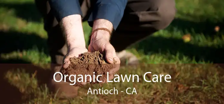 Organic Lawn Care Antioch - CA