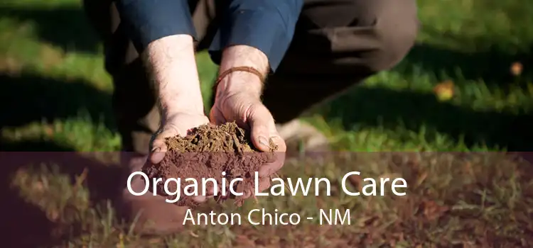 Organic Lawn Care Anton Chico - NM