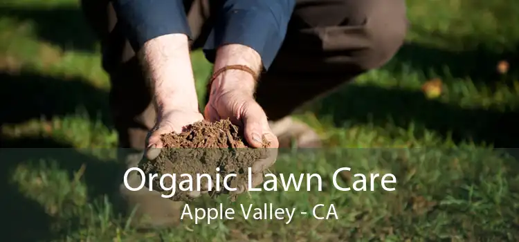  Organic Lawn Care Apple Valley - CA