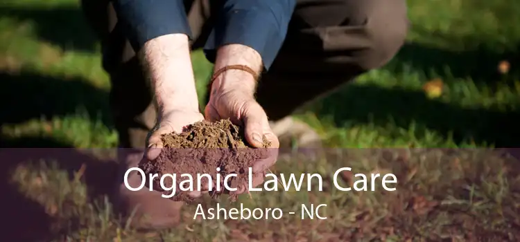 Organic Lawn Care Asheboro - NC