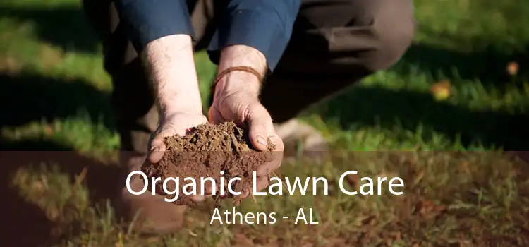 Organic Lawn Care Athens - AL