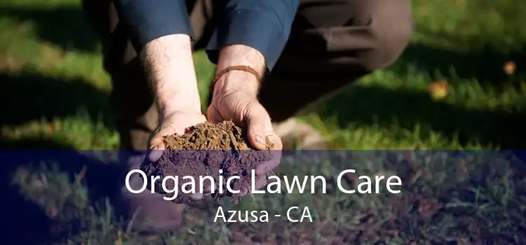 Organic Lawn Care Azusa - CA