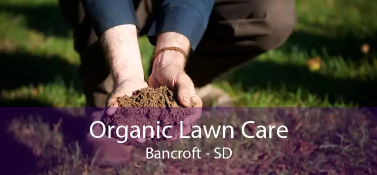 Organic Lawn Care Bancroft - SD