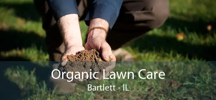Organic Lawn Care Bartlett - IL