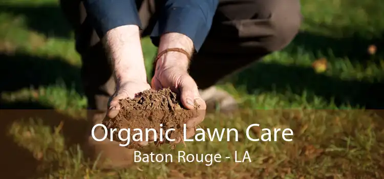 Organic Lawn Care Baton Rouge - LA