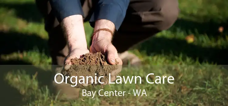 Organic Lawn Care Bay Center - WA