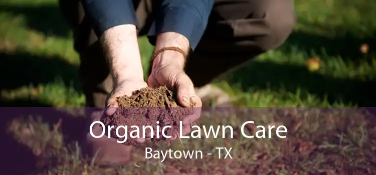 Organic Lawn Care Baytown - TX