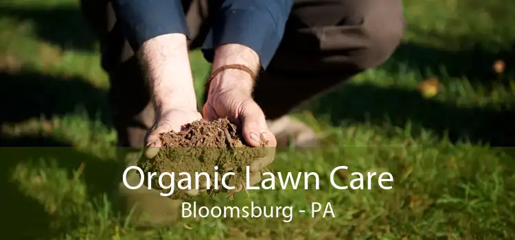 Organic Lawn Care Bloomsburg - PA