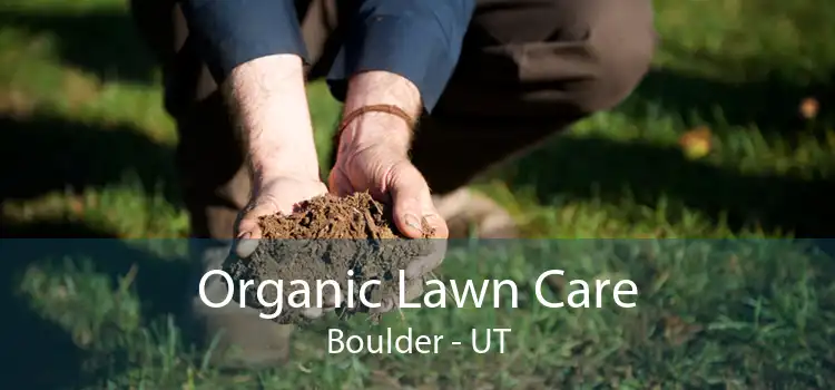 Organic Lawn Care Boulder - UT