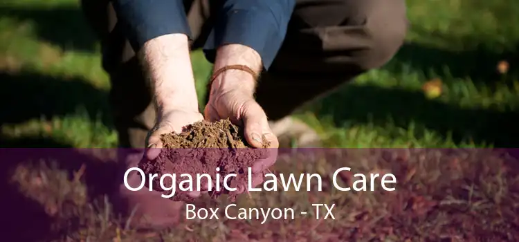 Organic Lawn Care Box Canyon - TX