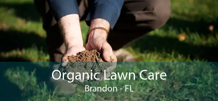 Organic Lawn Care Brandon - FL