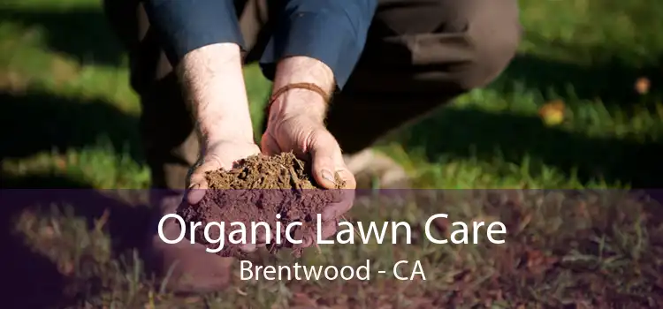 Organic Lawn Care Brentwood - CA