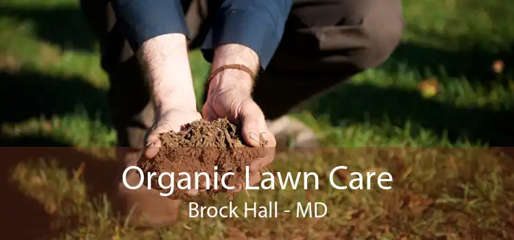 Organic Lawn Care Brock Hall - MD