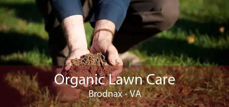 Organic Lawn Care Brodnax - VA