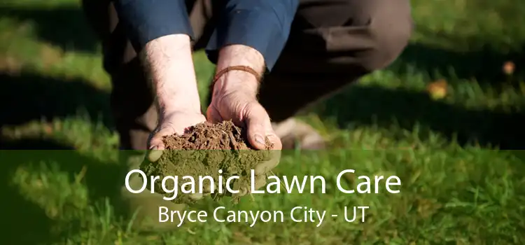 Organic Lawn Care Bryce Canyon City - UT