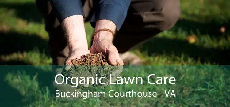 Organic Lawn Care Buckingham Courthouse - VA