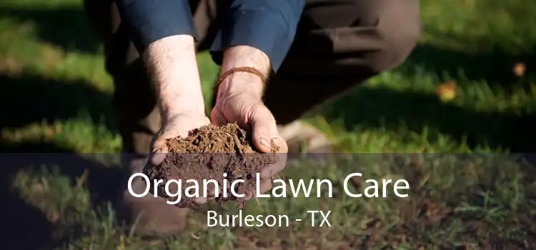 Organic Lawn Care Burleson - TX