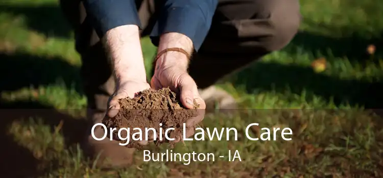 Organic Lawn Care Burlington - IA