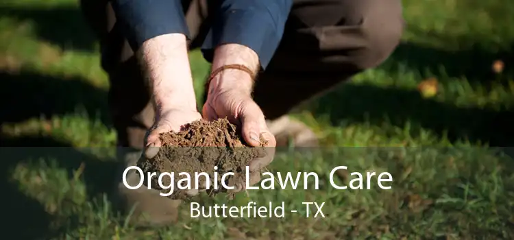 Organic Lawn Care Butterfield - TX