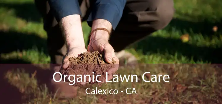 Organic Lawn Care Calexico - CA
