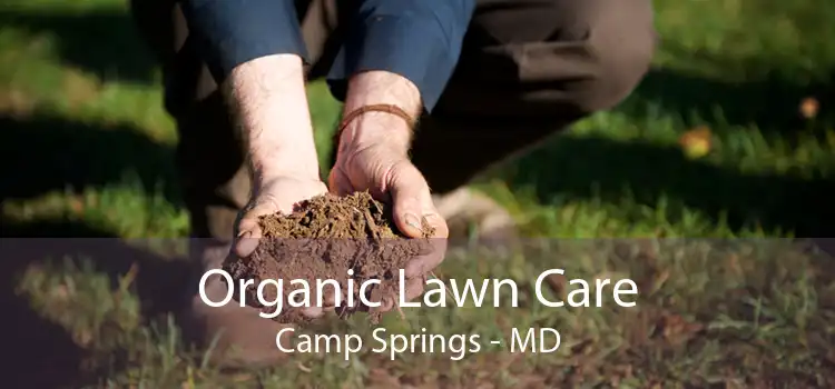 Organic Lawn Care Camp Springs - MD