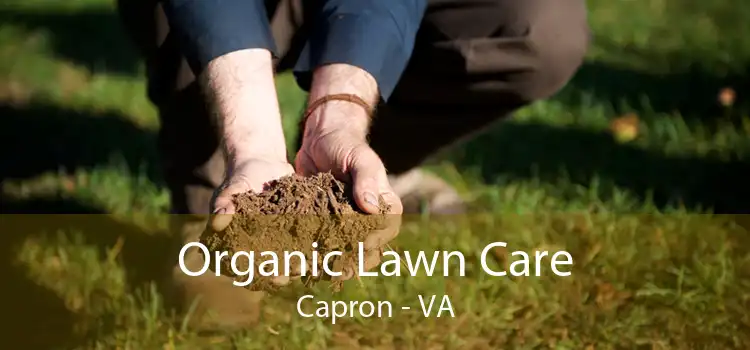 Organic Lawn Care Capron - VA