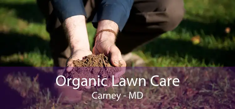 Organic Lawn Care Carney - MD