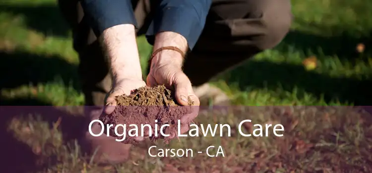 Organic Lawn Care Carson - CA