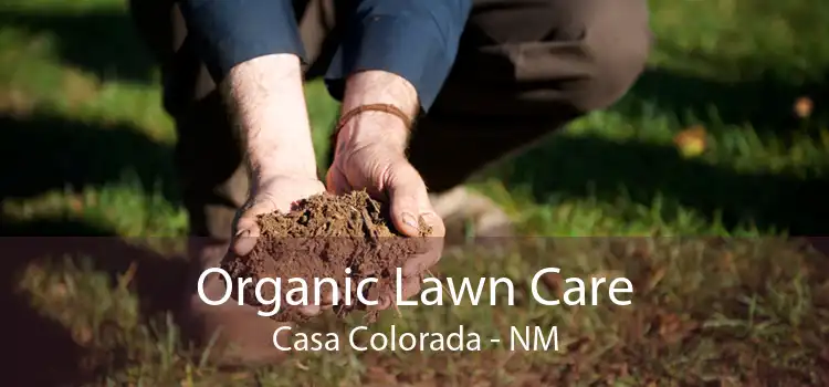 Organic Lawn Care Casa Colorada - NM