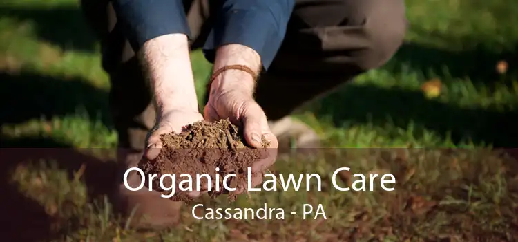 Organic Lawn Care Cassandra - PA