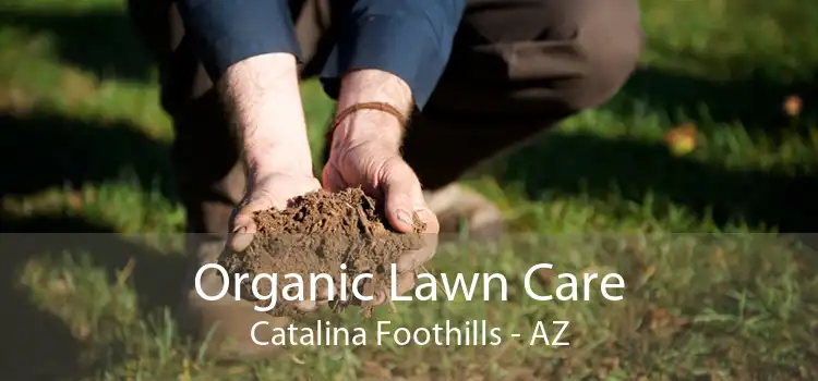 Organic Lawn Care Catalina Foothills - AZ