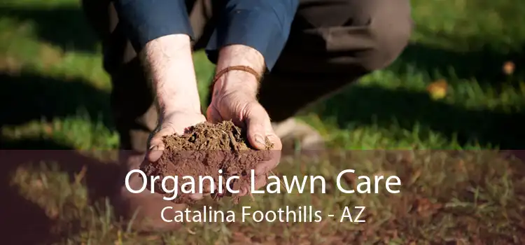  Organic Lawn Care Catalina Foothills - AZ