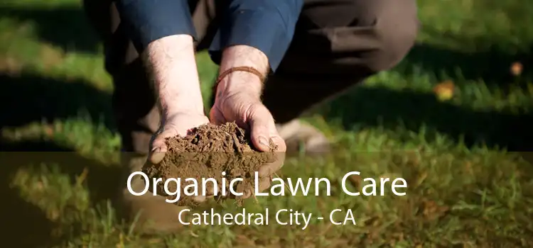 Organic Lawn Care Cathedral City - CA